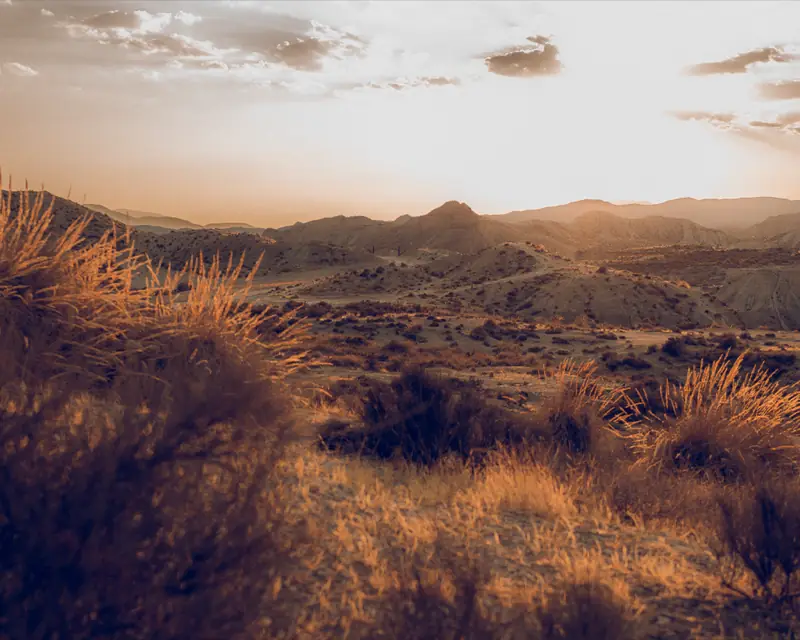 Golden Dust — Angello Benavides